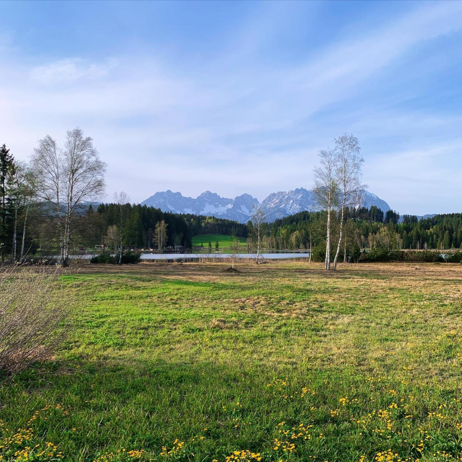 Waldnest Apartamento Kitzbühel Exterior foto